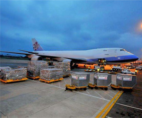Difference between shipping bill of lading and freight forwarder bill of lading